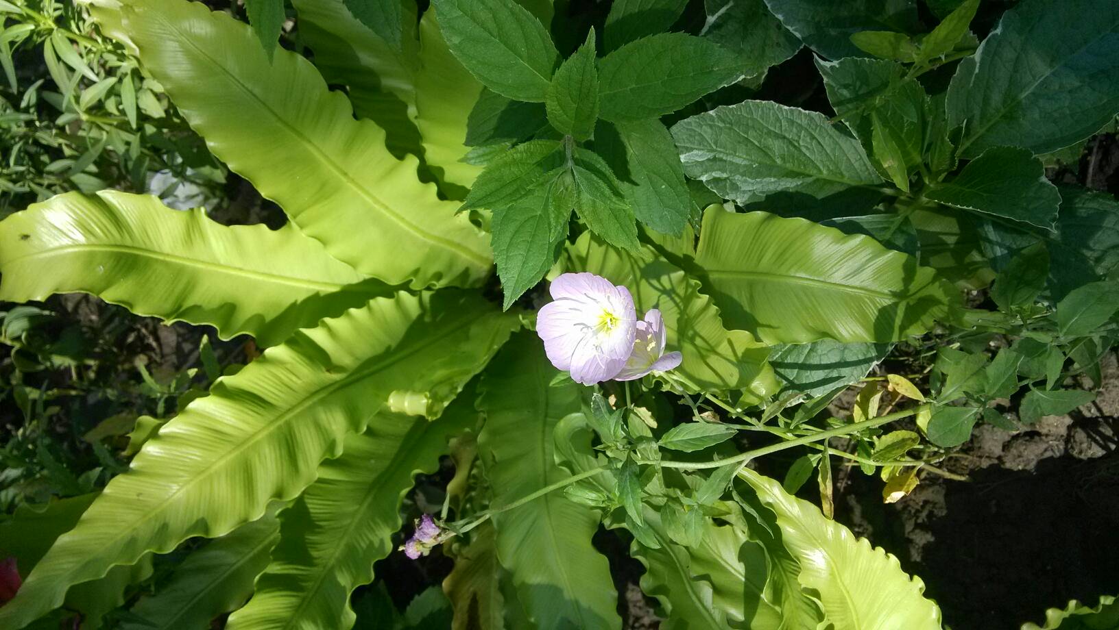 人妻无码αv中文字幕久久琪琪布